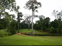 Terrain de golf